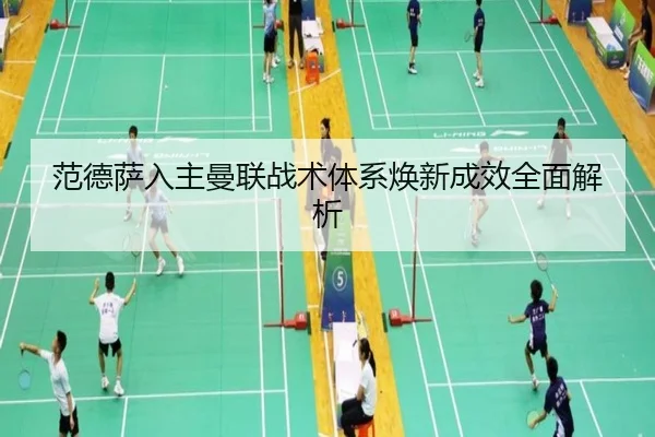 范德萨入主曼联战术体系焕新成效全面解析
