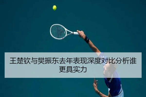 王楚钦与樊振东去年表现深度对比分析谁更具实力